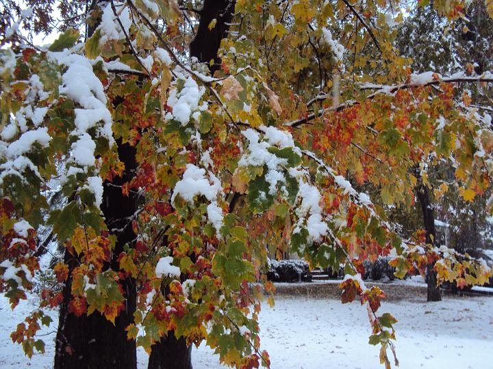 Oct 29 2011 -3.JPG
